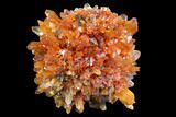 Orange Creedite Crystal Cluster - Durango, Mexico #79373-1